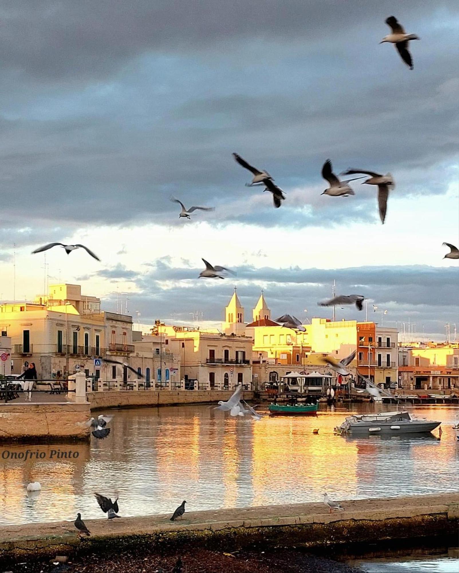 Apartmán Casa Myda Bari Exteriér fotografie